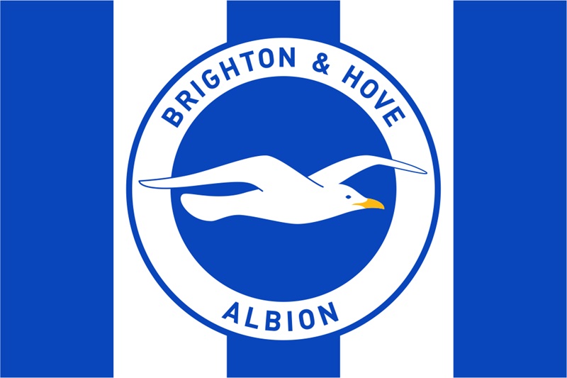 Biểu tượng của logo đội bóng Brighton là chú Chim mòng biển