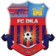 Logo Dila Gori